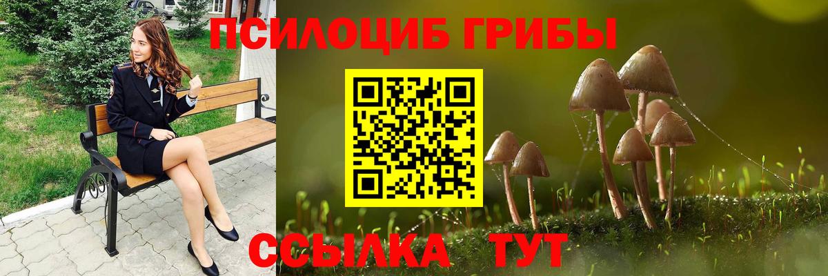 Кулебаки  цена наркотик  Вход с VPN  Псилоцибиновые грибы мицелий  Галлюциногенные грибы прущие грибы 