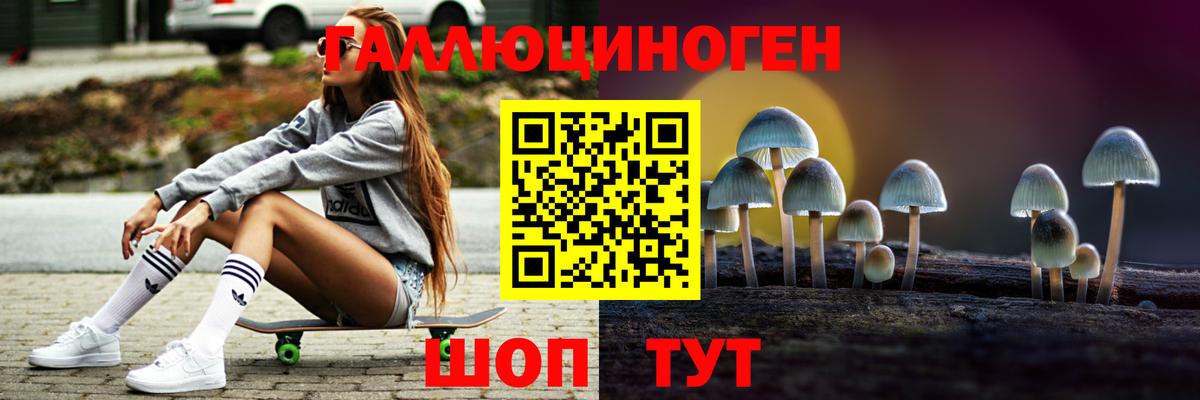 Галлюциногенные грибы Psilocybe Кулебаки